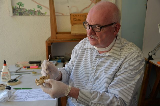 2 Bin yıl önce kadınların ömrü, erkeklerin ise 40 yılmış