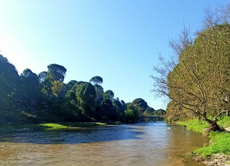 089Edb13 Ab38 4Dda B732 Ce2A9E951510