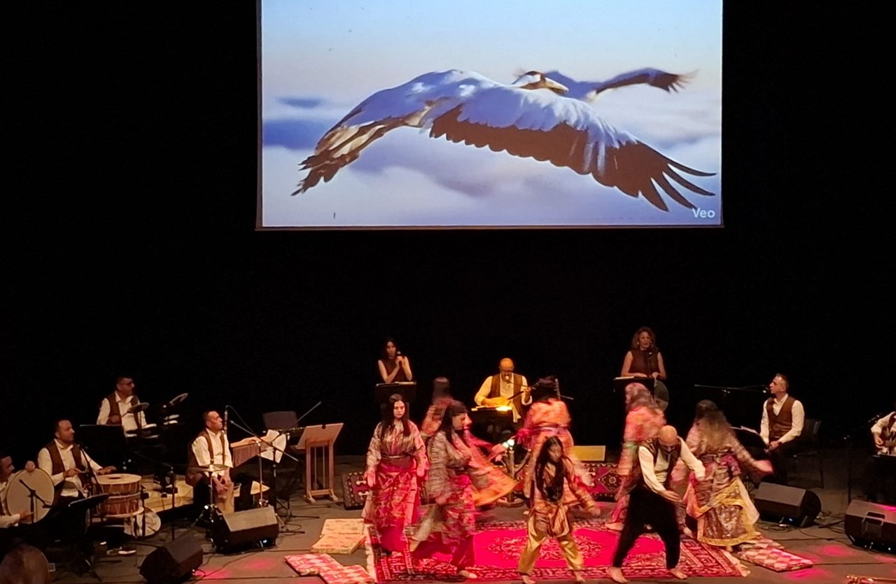 398Ac5Bf Ed18 4090 A8D1 00974Ca03992