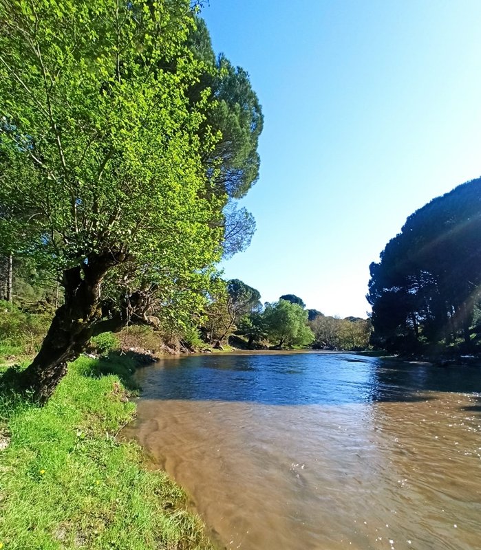 53B06D5F 8Db6 4967 8752 F022D528Af40 (1)