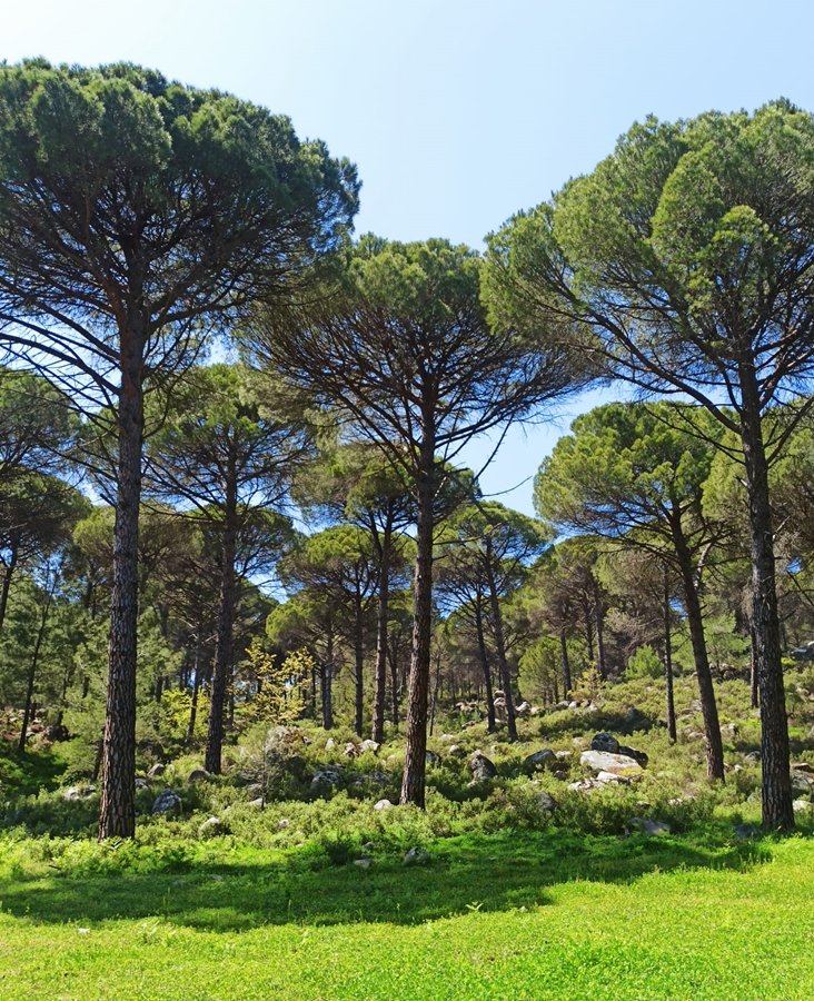 751584Eb 9A57 493C 9123 3F9579Dd3859 (1)