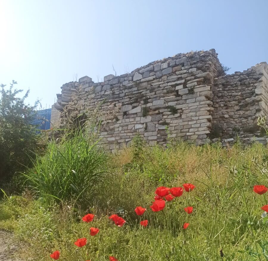 F0845142