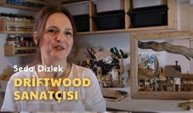 İzmir’in Renkleri | Driftwood Sanatçısı Seda Dizlek