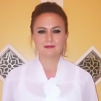 Av. Elifsu Dilek Şen