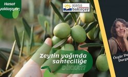 Hasat yaklaşıyor; zeytinyağında sahteciliğe dikkat!