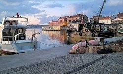 Kıyılar hızlı kentleşme kıskacında; Ayvalık örneği