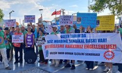 Danimarkalı çiçek üreticisi Queen'in Dikili'deki işçileri haykırıyor: "Köle değiliz!"