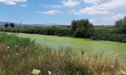 Kirlilik ve balık ölümleri ile gündeme gelen Bakırçay kurudu