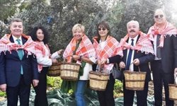 Bakırçay’dan zeytine sahip çıkma çağrısı!