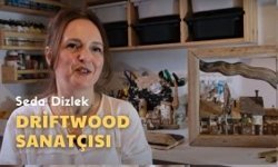 İzmir’in Renkleri | Driftwood Sanatçısı Seda Dizlek