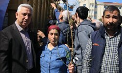 Bergama’da binlerce fidan toprakla buluşuyor