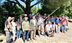 Coğrafi işaretli "Kozak Çam Fıstığı" turizmin de hizmetinde