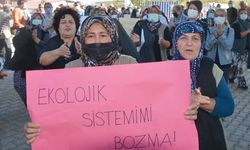 Ekoloji mücadelesinden demokrasiye: İzmir'in iki büyük direnişi Aliağa ve Bergama