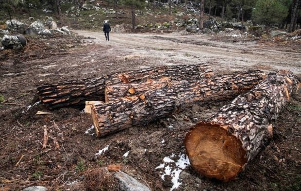 Kozak için tepki ver!