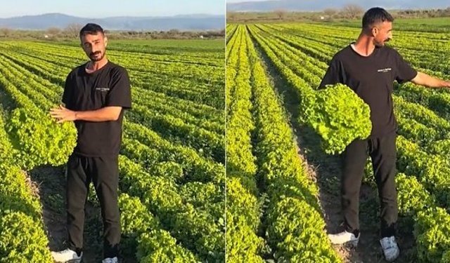 Bergama'da 'Satarsam şerefsizim' diyen çiftçinin isyanı pahalıya patladı