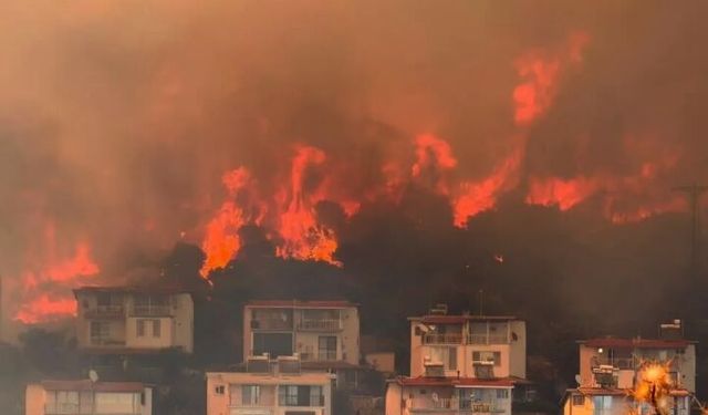 Dikili'deki yangın korku yarattı!