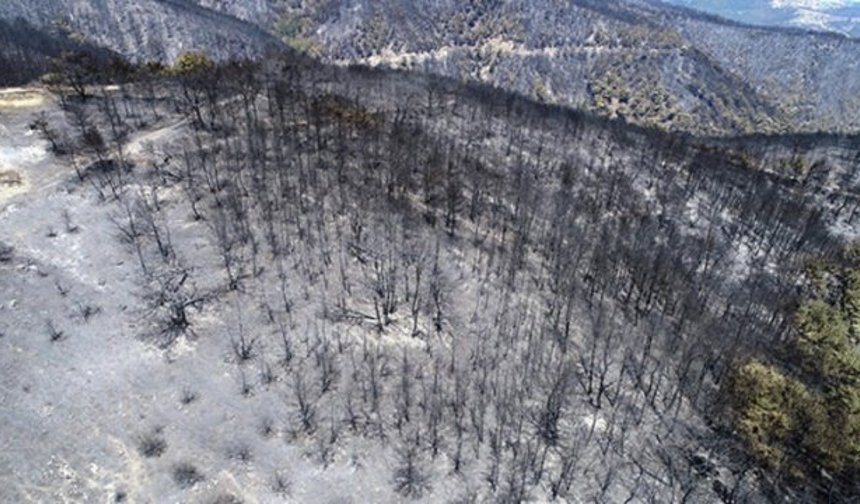 İzmir'de ki yangından bu görüntüler kaldı