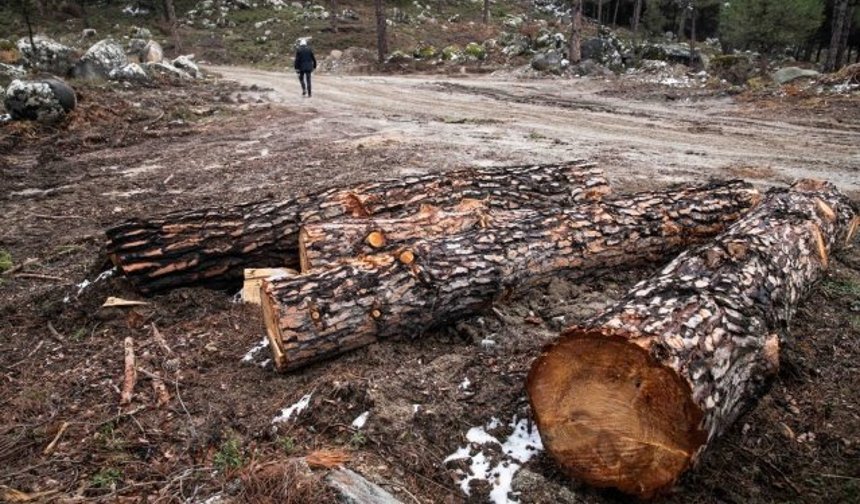 Kozak için tepki ver!