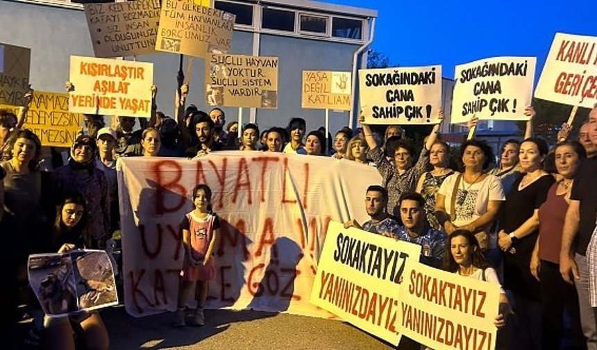Bergama’da yaşanan köpek katliamı protesto edildi