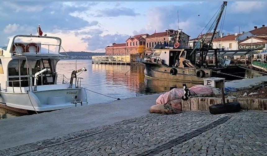 Kıyılar hızlı kentleşme kıskacında; Ayvalık örneği