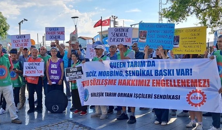 Danimarkalı çiçek üreticisi Queen'in Dikili'deki işçileri haykırıyor: "Köle değiliz!"
