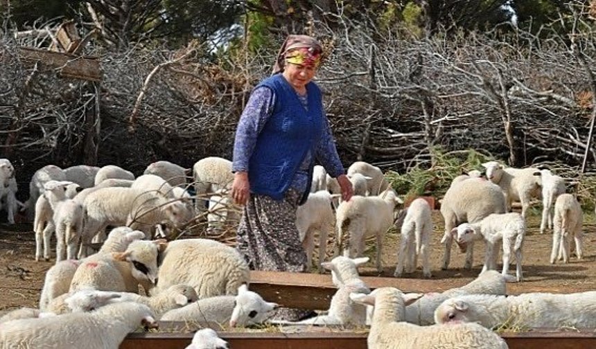 Bergama’da alarm: 16 köy karantinaya alındı!