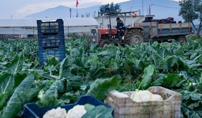Bergama Üreticiler Birliği ‘durum vahim’ dedi