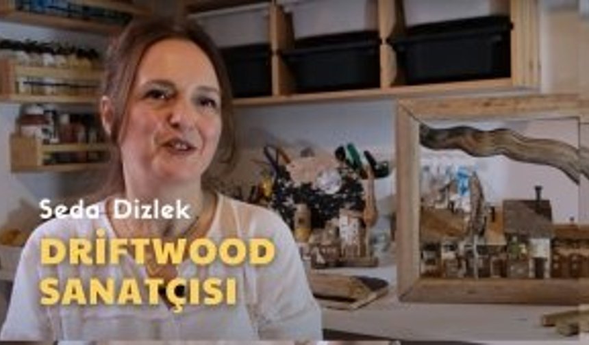 İzmir’in Renkleri | Driftwood Sanatçısı Seda Dizlek