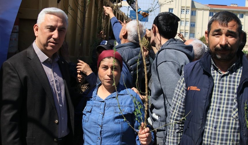 Bergama’da binlerce fidan toprakla buluşuyor