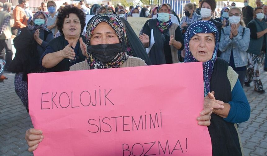 Ekoloji mücadelesinden demokrasiye: İzmir'in iki büyük direnişi Aliağa ve Bergama