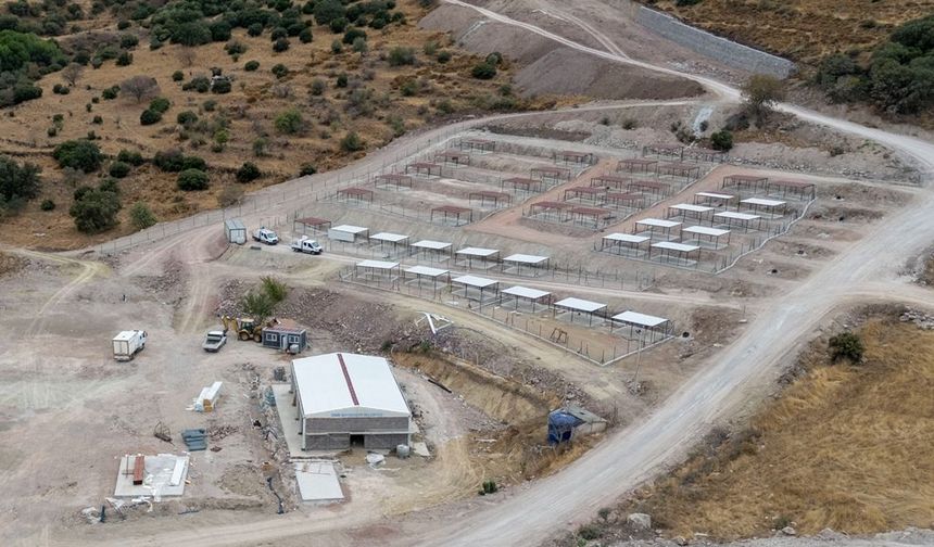 Dikili’ye tam teşekküllü sokak hayvanları kampüsü